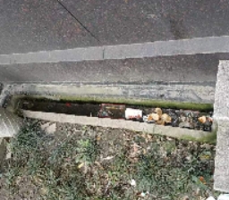 社区病媒生物防制要点